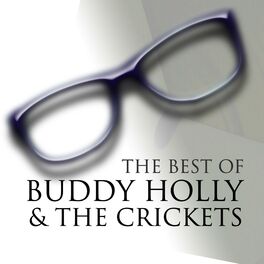 Album cover of The Best of Buddy Holly & The Crickets
