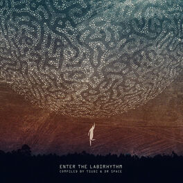 Album cover of Enter The Labirhythm