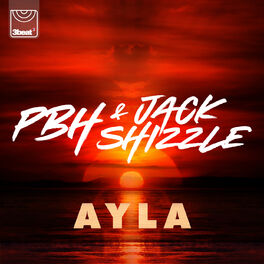 Album cover of Ayla