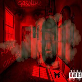 Album cover of Noble Gasses