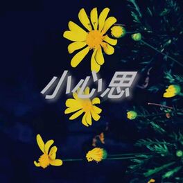 Album cover of 小心思