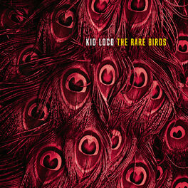 Album cover of The Rare Birds