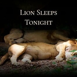 Album cover of Lion Sleeps Tonight