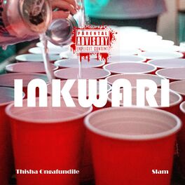 Album cover of Inkwari