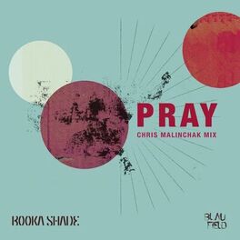 Album cover of Pray (Chris Malinchak Mix)