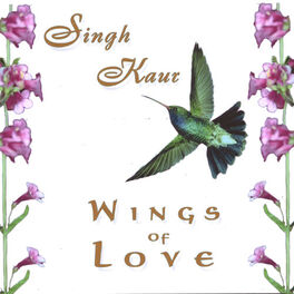 Album cover of Wings of Love