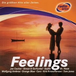 Album cover of Radio Wien - Feelings
