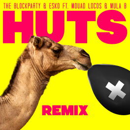 Album cover of HUTS Remix