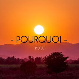 Album cover of Pourquoi