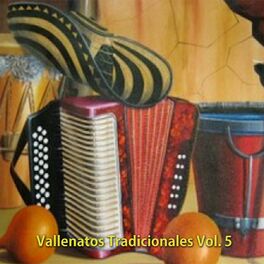 Album cover of Vallenatos Tradicionales Vol 5