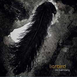 Album cover of Liarbird