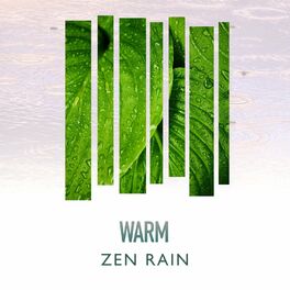 Album cover of Warm Zen Rain Collection