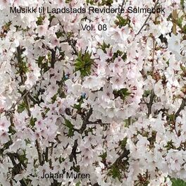 Album cover of Syng til Landstads Reviderte Kirkesalmebok Vol. 08
