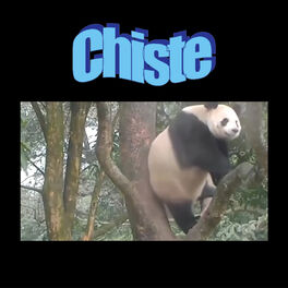 Album cover of Chiste