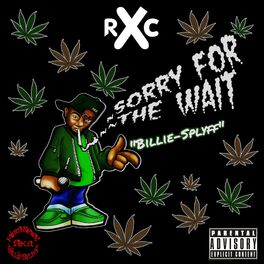 Album cover of Sorry For The Wait