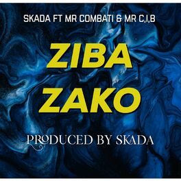 Album cover of Ziba Zako