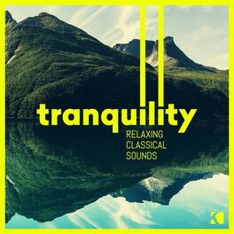 Album cover of Tranquility - Relaxing Classical Sounds