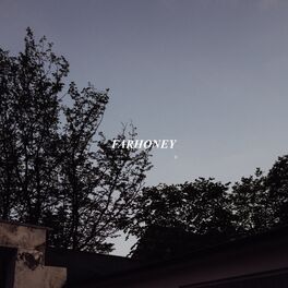 Album cover of Farhoney