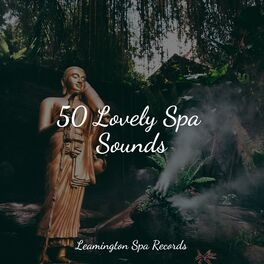 Album cover of 50 Lovely Spa Sounds