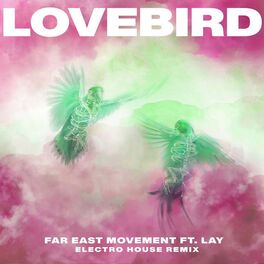 Album cover of Lovebird (Electro House Remix)