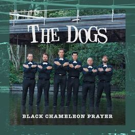 Album cover of Black Chameleon Prayer