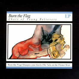 Album cover of Burn The Flag