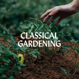 Album cover of Classical Gardening