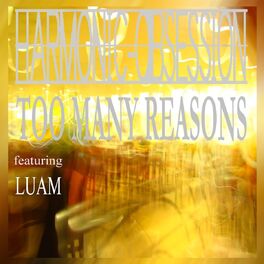 Album cover of Too Many Reasons