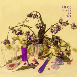 Album cover of Roxo