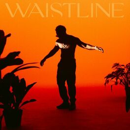 Album cover of Waistline