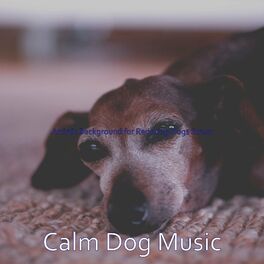Album cover of Artistic Background for Reducing Dogs Stress