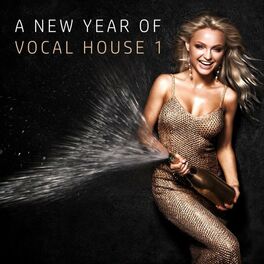 Album cover of A New Year of Vocal House, Vol. 1