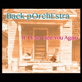 Album cover of If I Ever See You Again