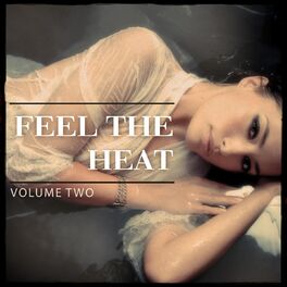 Album cover of Feel the Heat, Vol. 2