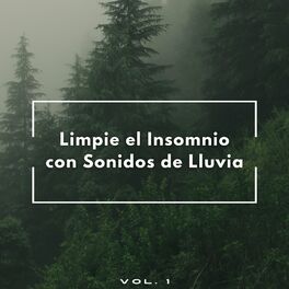 Album cover of Limpie El Insomnio Con Sonidos De Lluvia Vol. 1
