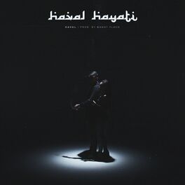 Album cover of HAYATI