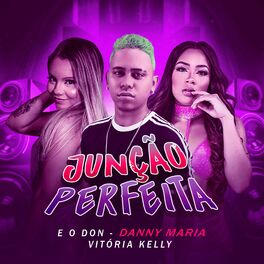 Album cover of Junção Perfeita