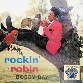 Album cover of Rockin' with Robin