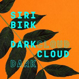 Album cover of Dark Cloud