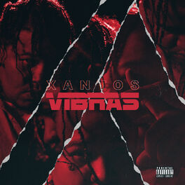 Album cover of Vibras