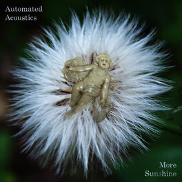 Album cover of More Sunshine