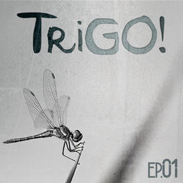 Album cover of Trigo, Vol. 1