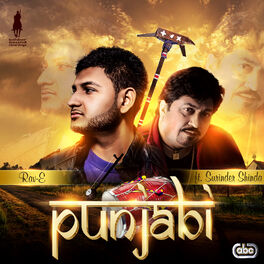 Album cover of Punjabi