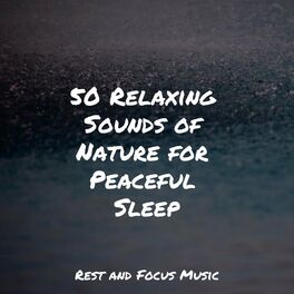 Album cover of 50 Relaxing Sounds of Nature for Peaceful Sleep