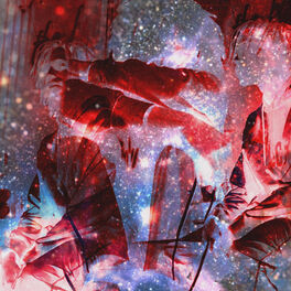 Album cover of Spacepaxk 2