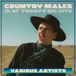 Album cover of Country Males - 16 Of Today's Big Hits