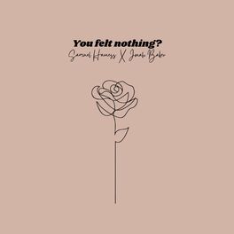 Album cover of You Felt Nothing?