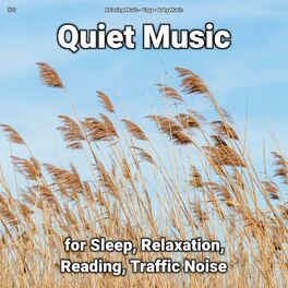 Album cover of #01 Quiet Music for Sleep, Relaxation, Reading, Traffic Noise