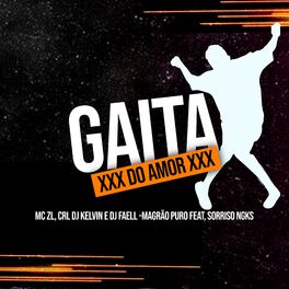 Album cover of Gaita do Amor Vs Magrão Puro