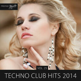 Album cover of Techno Club Hits 2014, Vol. 25